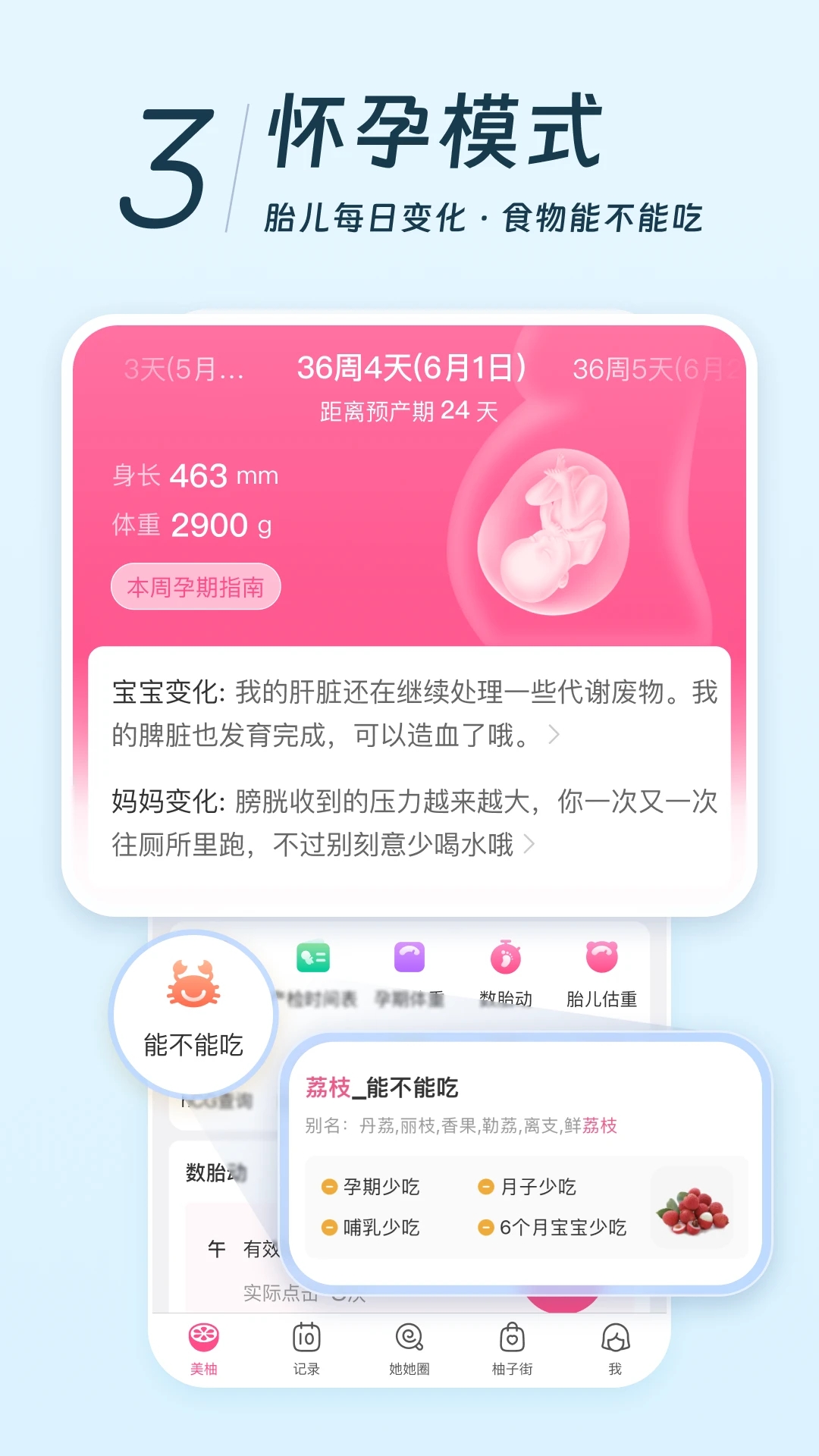 美柚孕期app下载安装安卓版