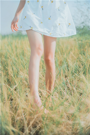 天堂а√在线中文在线最新版中文版截图4