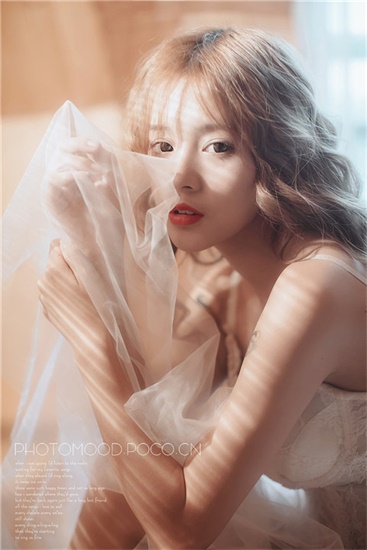 japonensis日本javaapp抖音解锁版截图1