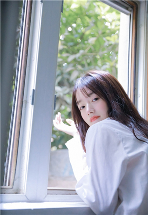 花蝴蝶免费视频在线观看高清版截图3