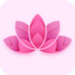 野花日本中文版免费完整版高清版观看