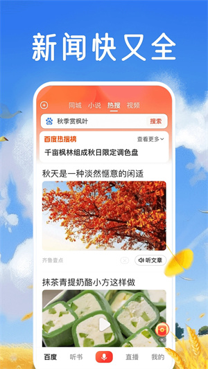 百度大字版官方下载截图1