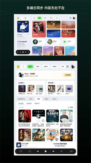 QQ音乐HD破解版截图3