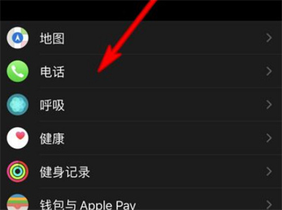 Apple watch可以设置电话铃声吗