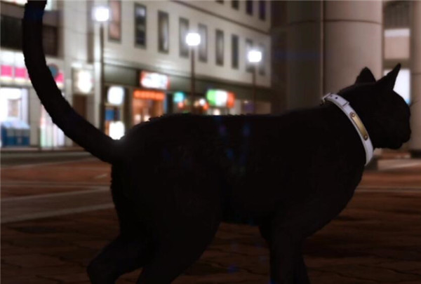 审判之逝猫咪好感度怎么提升