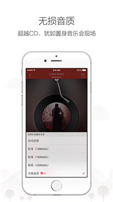网易云黑胶vip最新