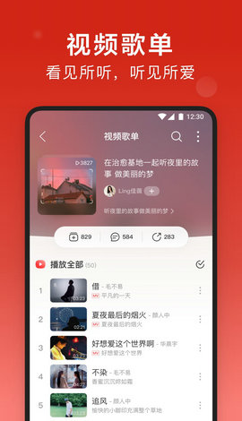 内置网抑叼毛云模块可换源