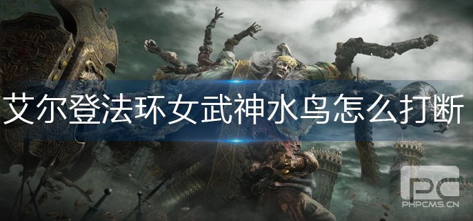 艾尔登法环女武神水鸟如何打断-女武神水鸟打断方法详细介绍